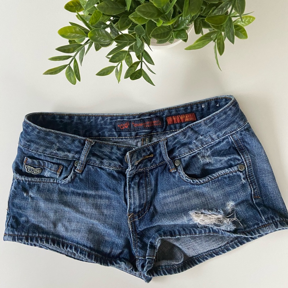 Chip & Pepper Beach Bum shorts